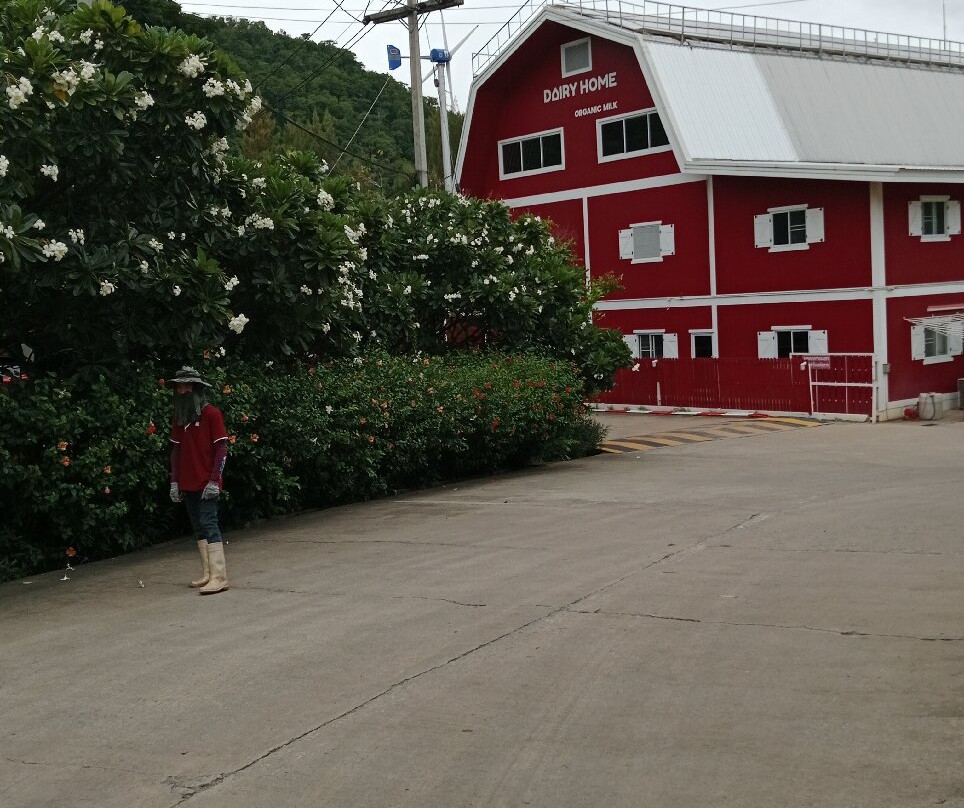 Dairy Home Farm Shop-北冲县必去景点