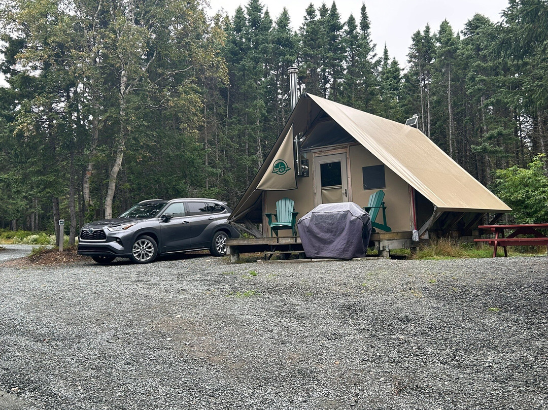Terra Nova National Park景点图片