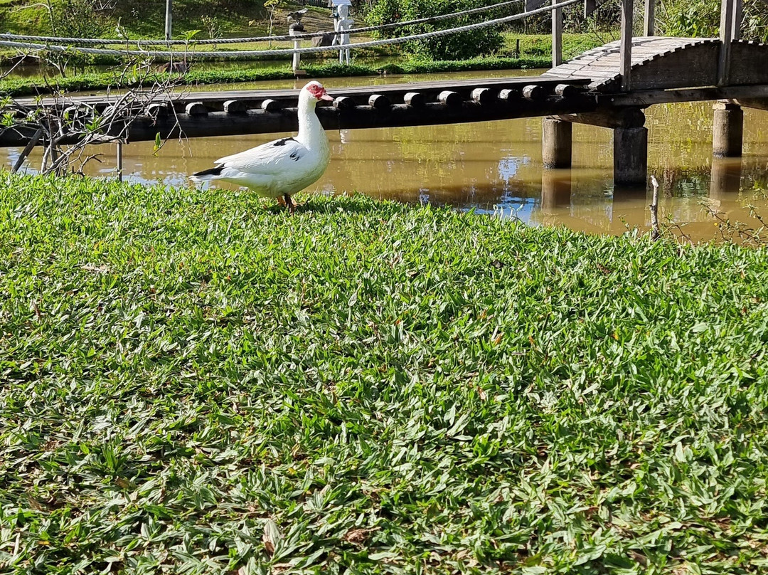 Pousada Pouso Das Águias主图