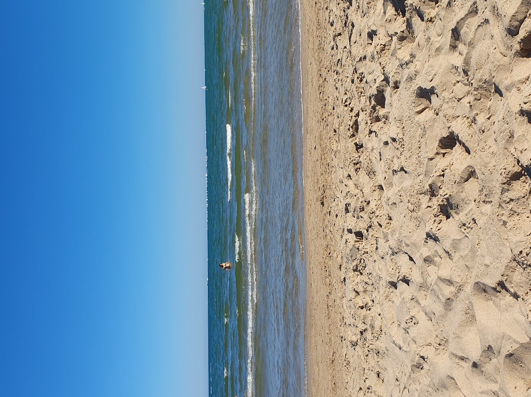 Playa de Pinedo景点图片