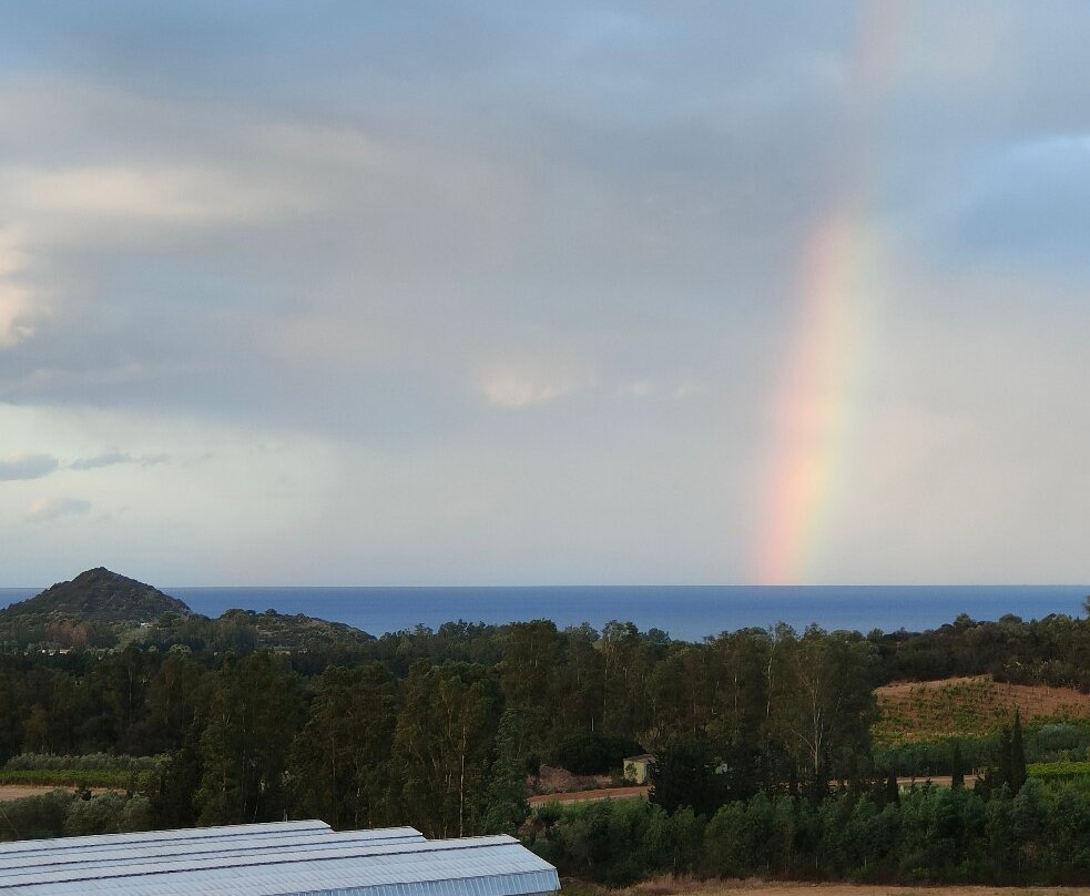 Agriturismo gli Ulivi主图
