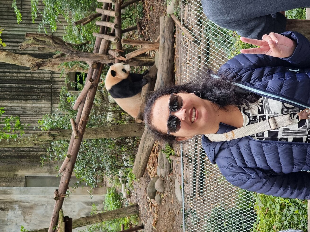 Chengdu One Day Tours-成都必去景点
