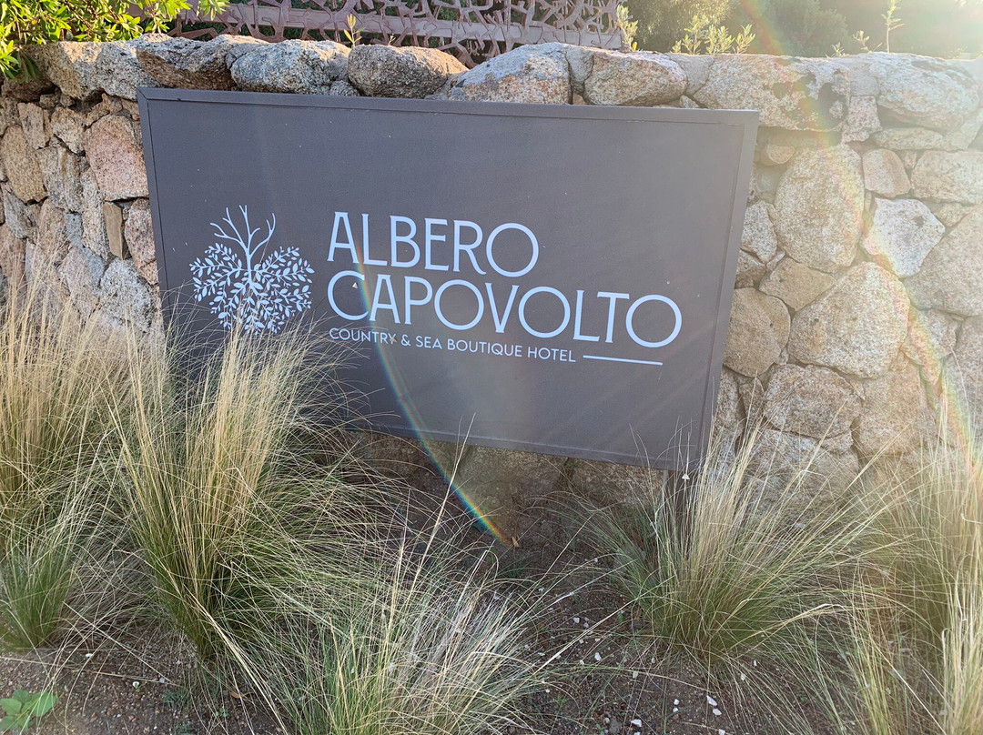 Albero Capovolto主图