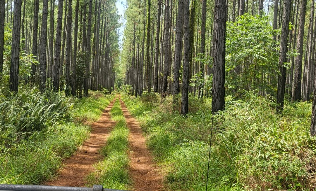 Caledonia Off-Road Latitude-努美阿必去景点