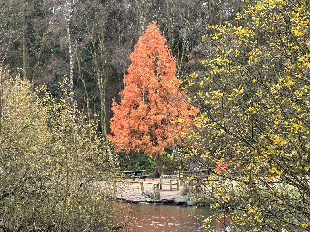 Golden Acre Park-利兹必去景点