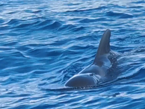 Los Rapidos-洛斯·吉甘特斯必去景点