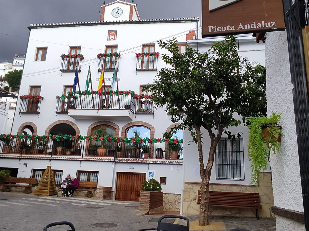 Centro Historico de Canillas de Aceituno景点图片