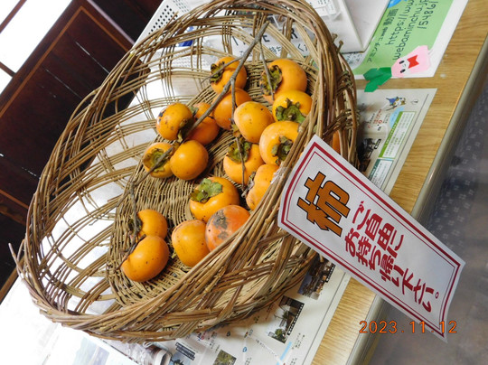 Hinomachi Kado Kanno Museum (Former Shonoyakuten)-日野町必去景点