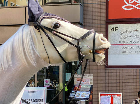 Bashamichi-横滨市必去景点