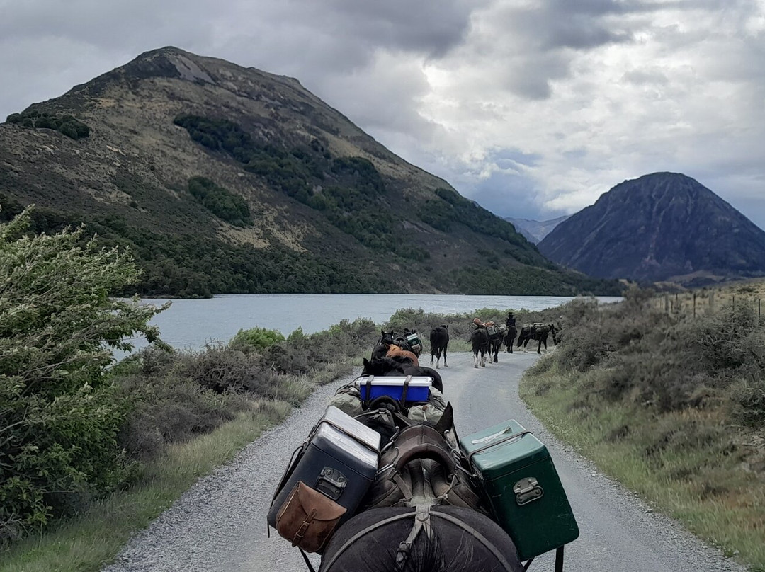 Alpine Horse Safaris景点图片