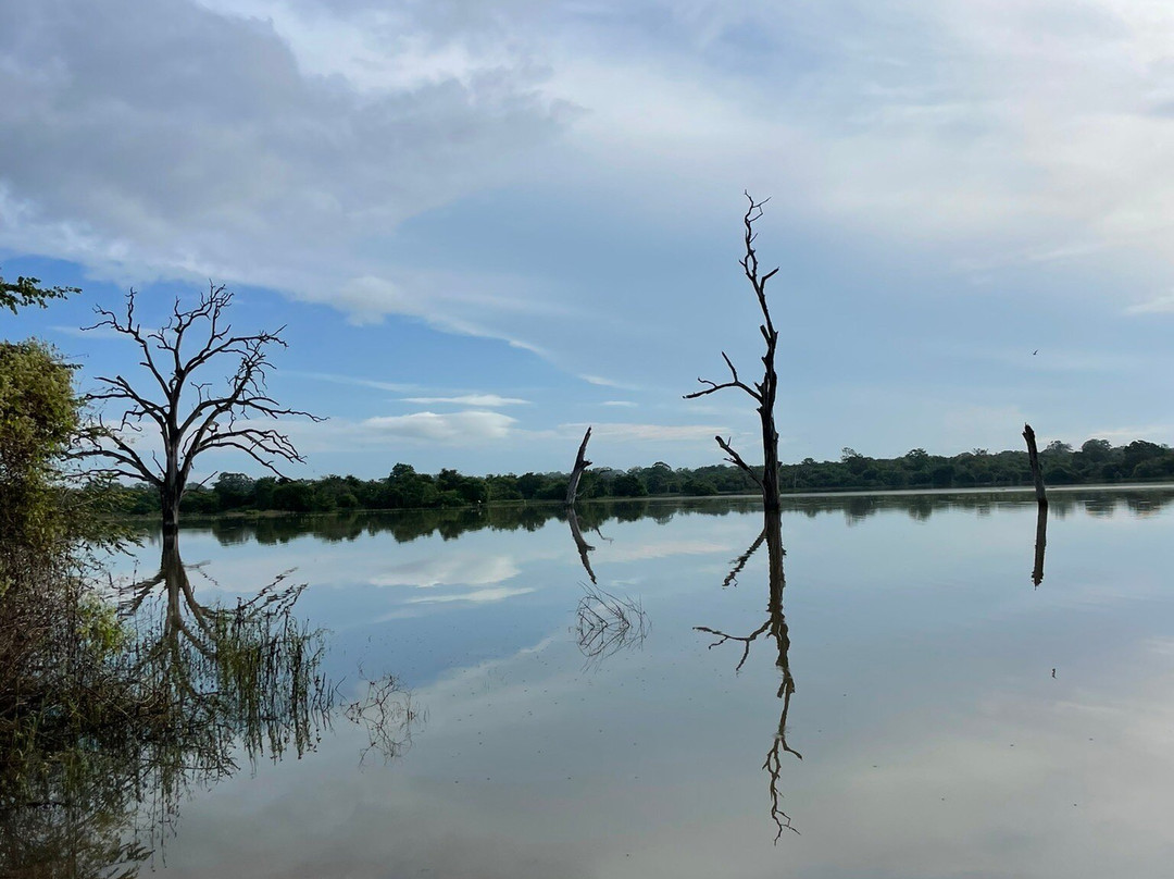 Udawalawe Wild Safari Tours-乌达瓦拉瓦必去景点