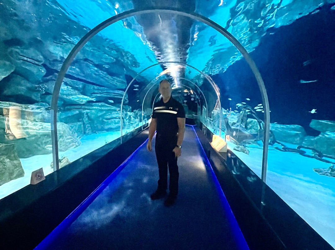 Hamad Port Visitors Center-Mesaieed必去景点