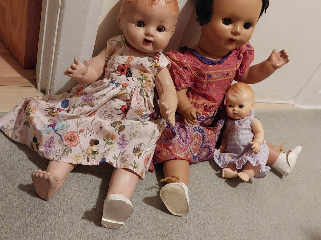 Recollect Dolls Hospital景点图片