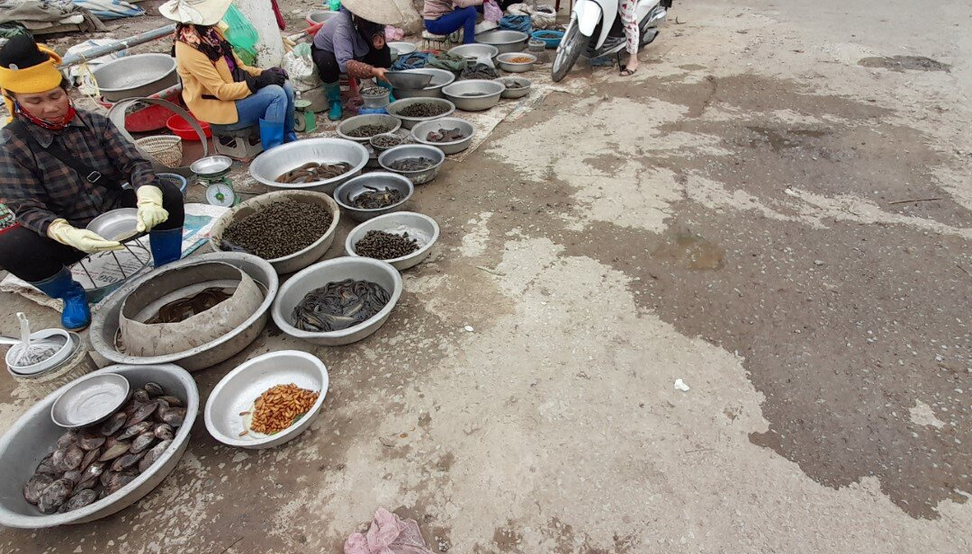 Muong Thanh Market景点图片