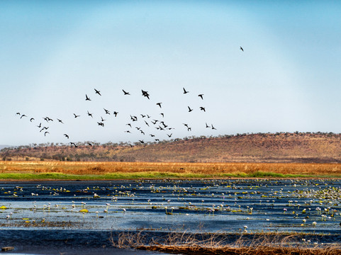 Outback Spirit-布鲁姆必去景点