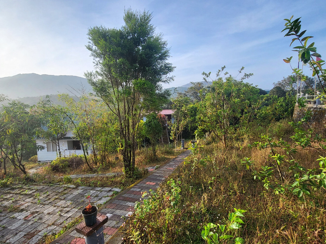 D ‘Heavenly Mist Resorts主图