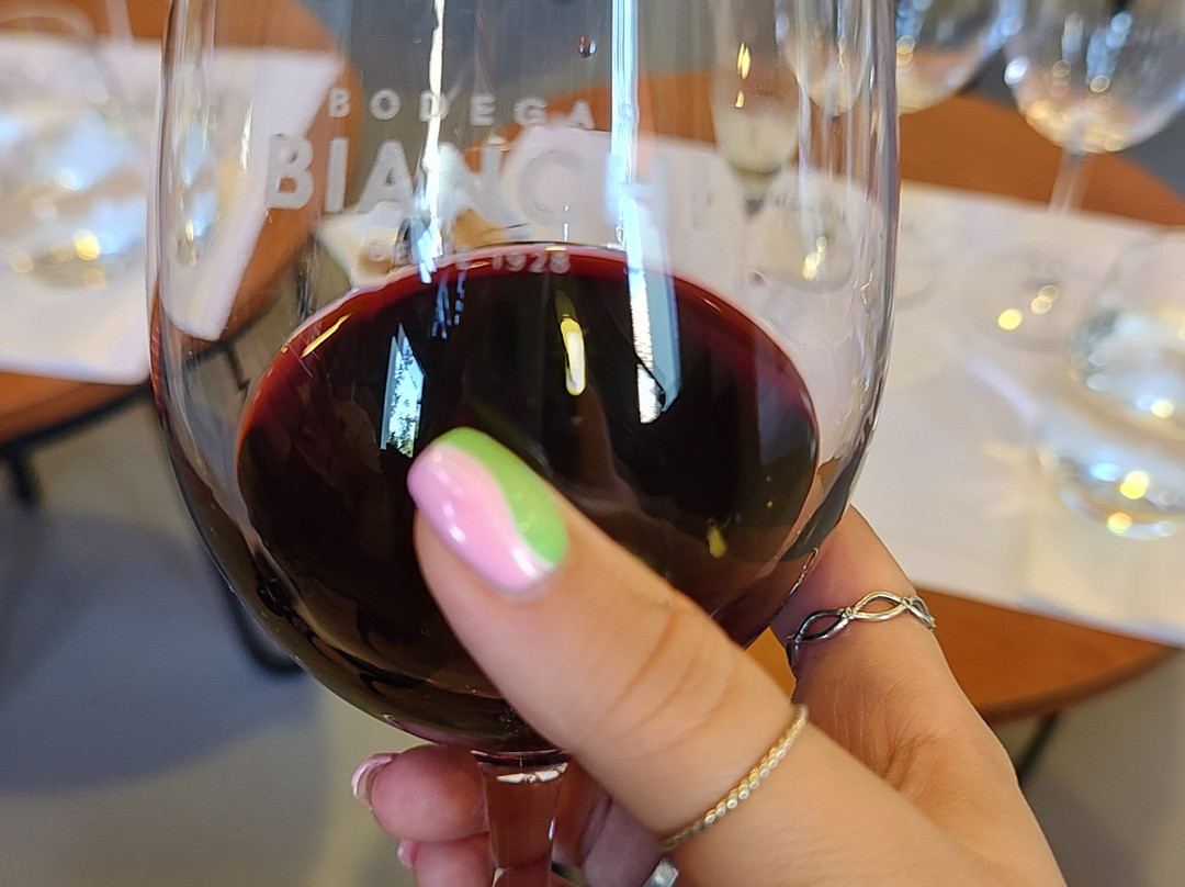 Bodega Enzo Bianchi-Tunuyan必去景点