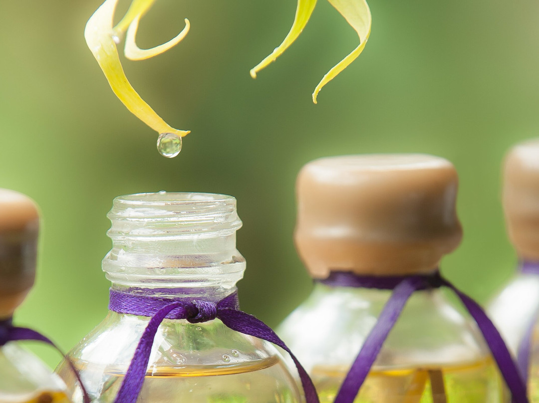 Fivelements Healing & Wellness景点图片
