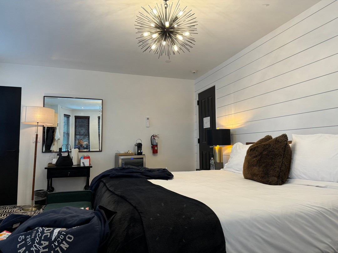 American Beech主图