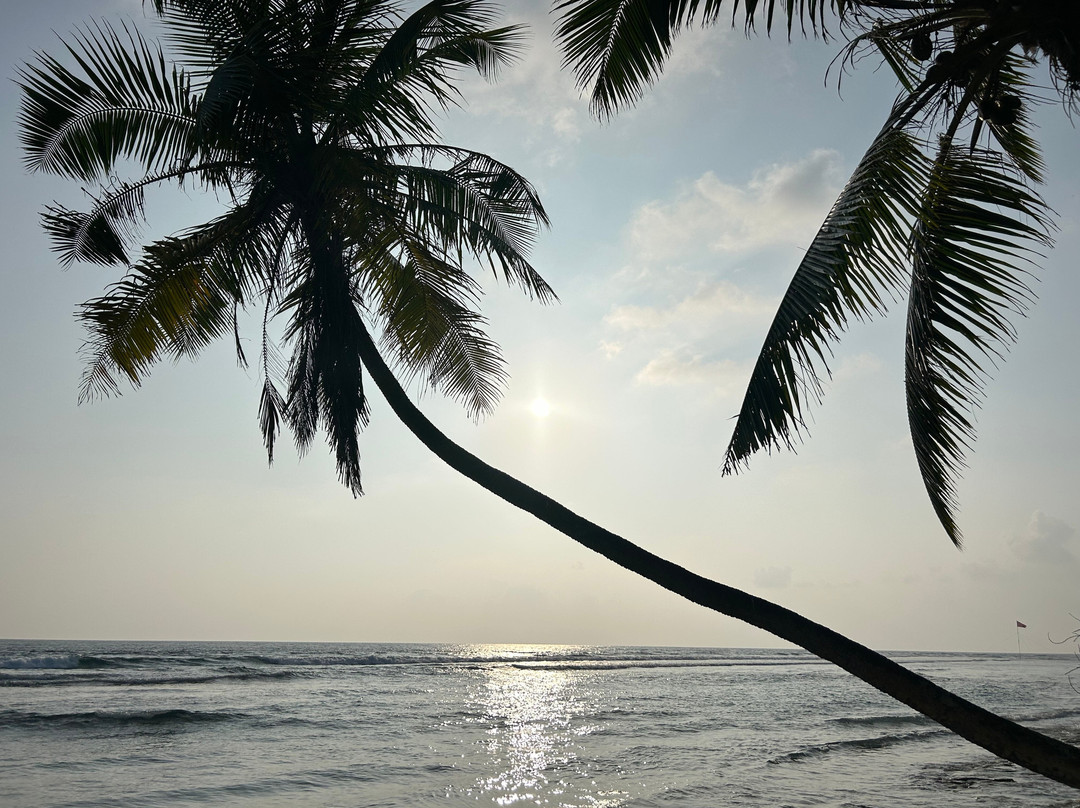 Dhooni Finolhu Guesthouse主图