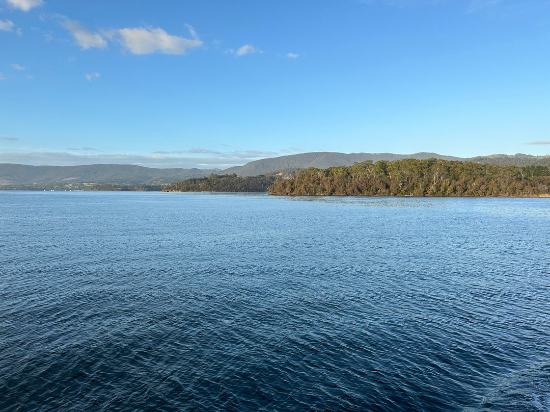 SeaLink Bruny Island Ferry景点图片