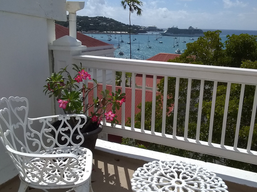 At Home In The Tropics主图