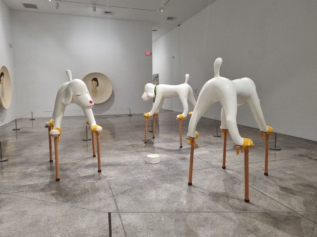 Rubell Museum-迈阿密必去景点