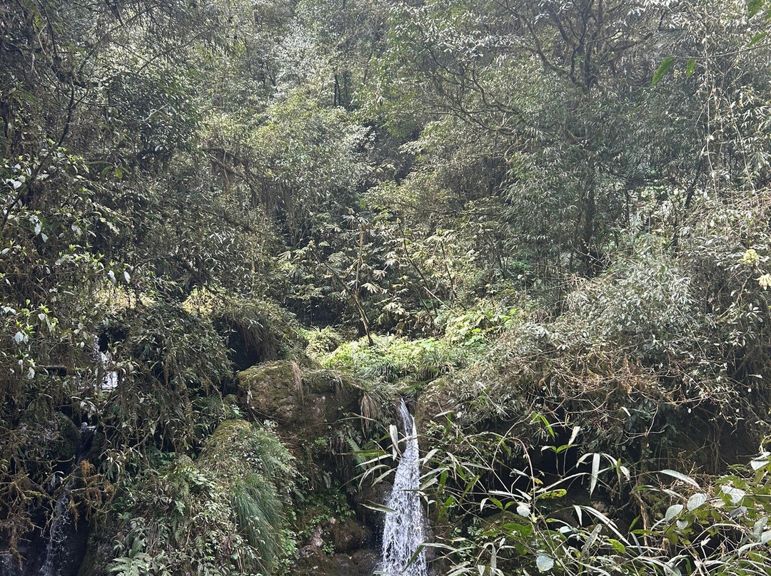 青城山后山 景点图片