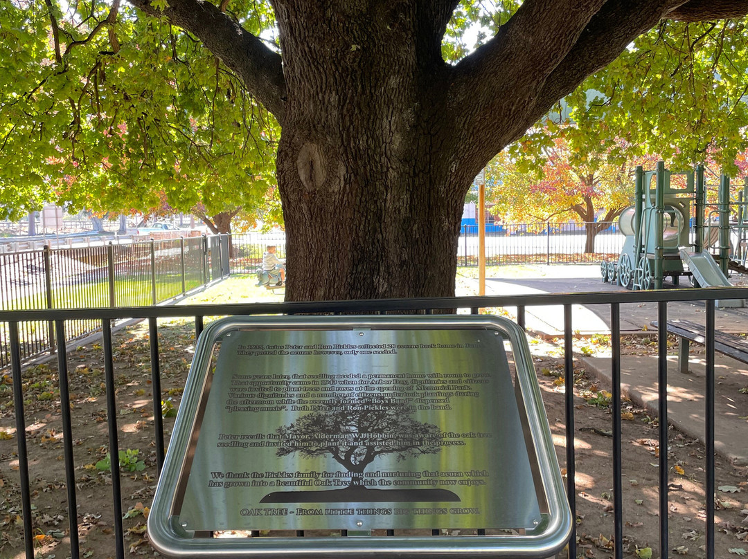 Memorial Park-Junee必去景点