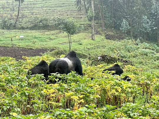 Salama Tours & Travels Agency-吉佳利必去景点