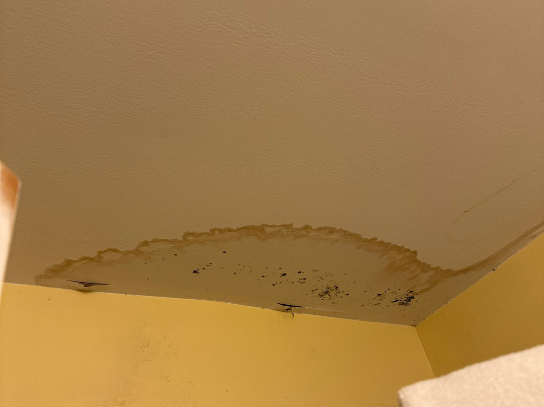 George Brooks House Bed & Breakfast主图