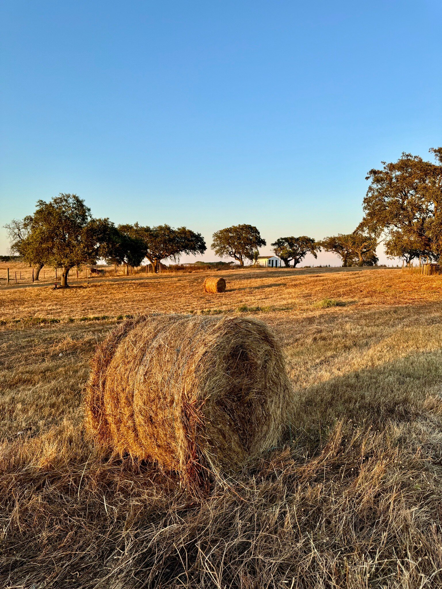 Agro-Turismo Monte da Galega-官方