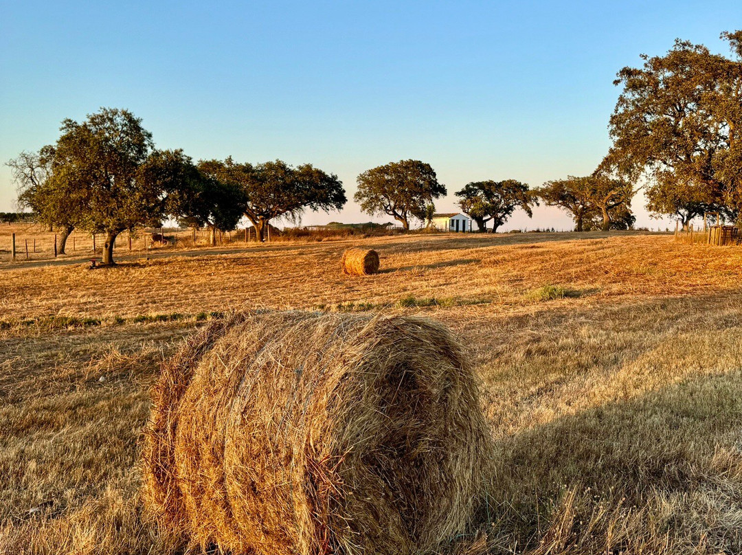 Agro-Turismo Monte da Galega主图