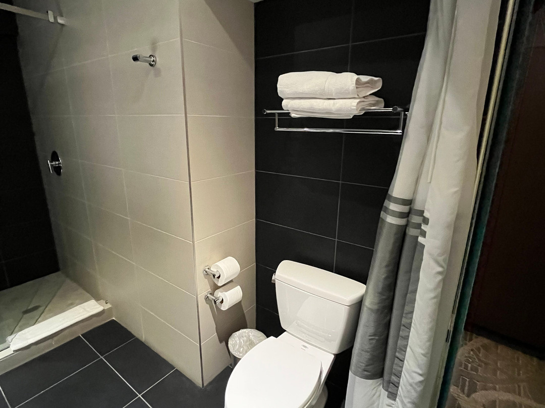 Hercor Hotel - Urban Boutique主图