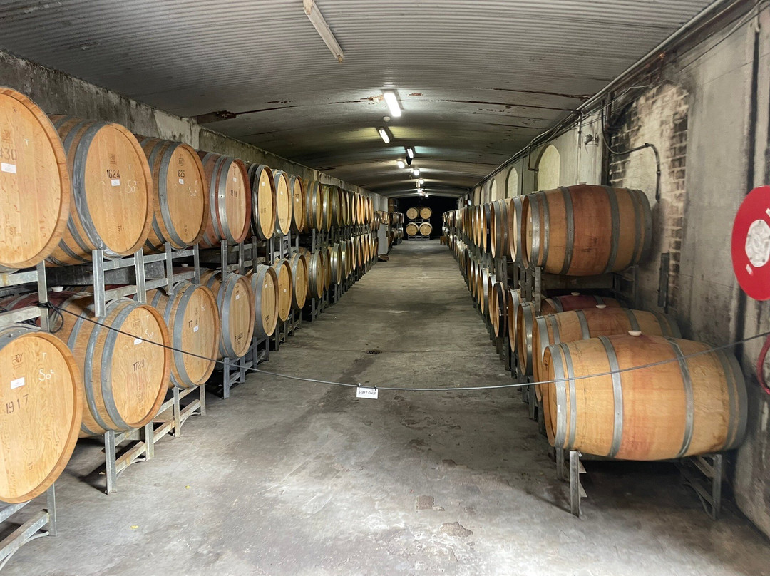 TarraWarra Estate Cellar Door-亚拉格林必去景点