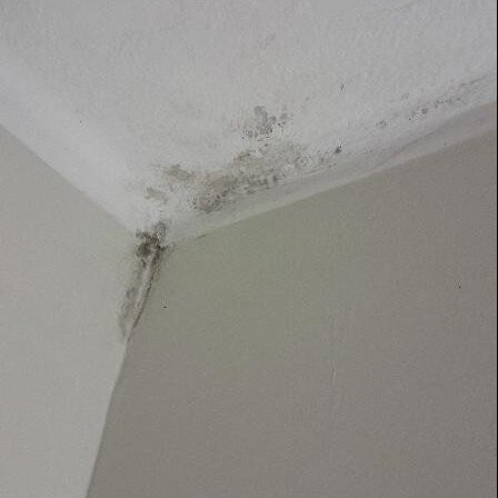 Hotel Palia Dolce Farniente主图