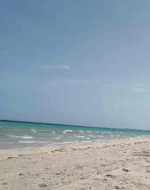 Club Marmara Palm Beach Djerba-泳池