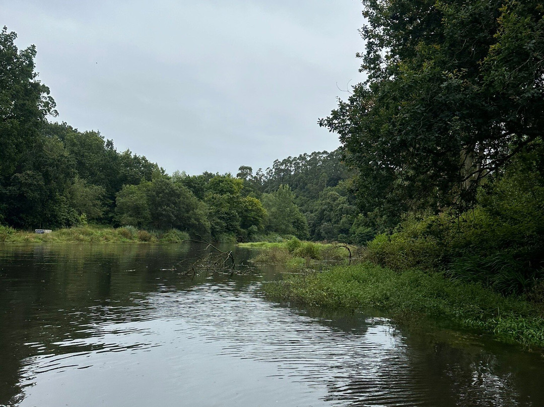 Bahía de Santander Ecoturismo-Camargo必去景点