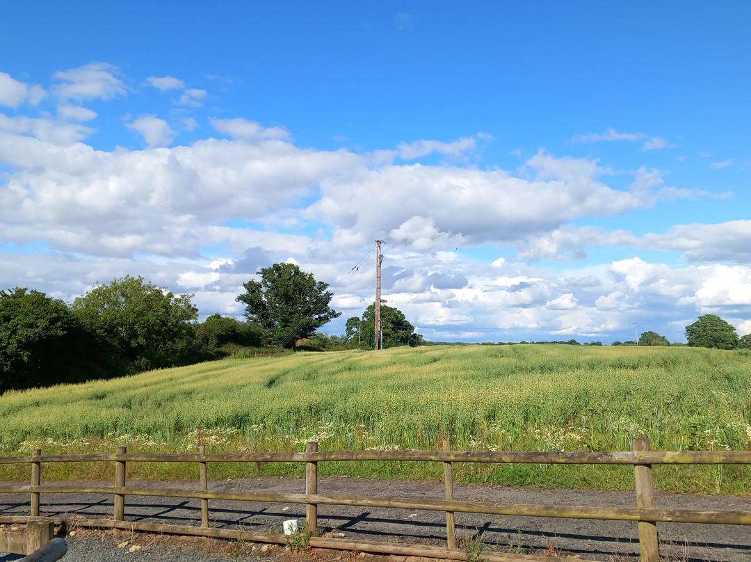 Hobsons Brewery-Cleobury Mortimer必去景点