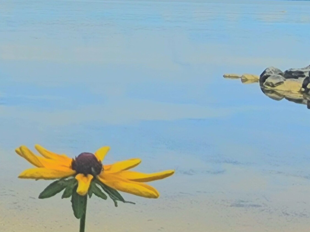 Widewater State Park-Stafford必去景点