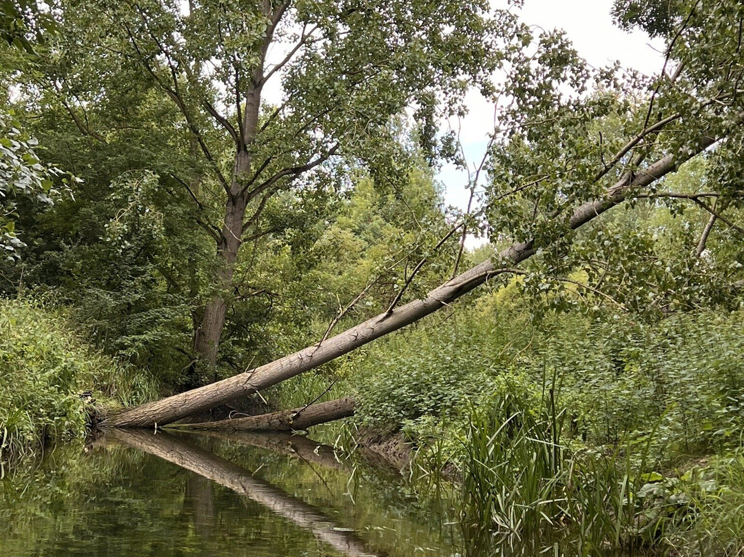 Canoe Trail景点图片