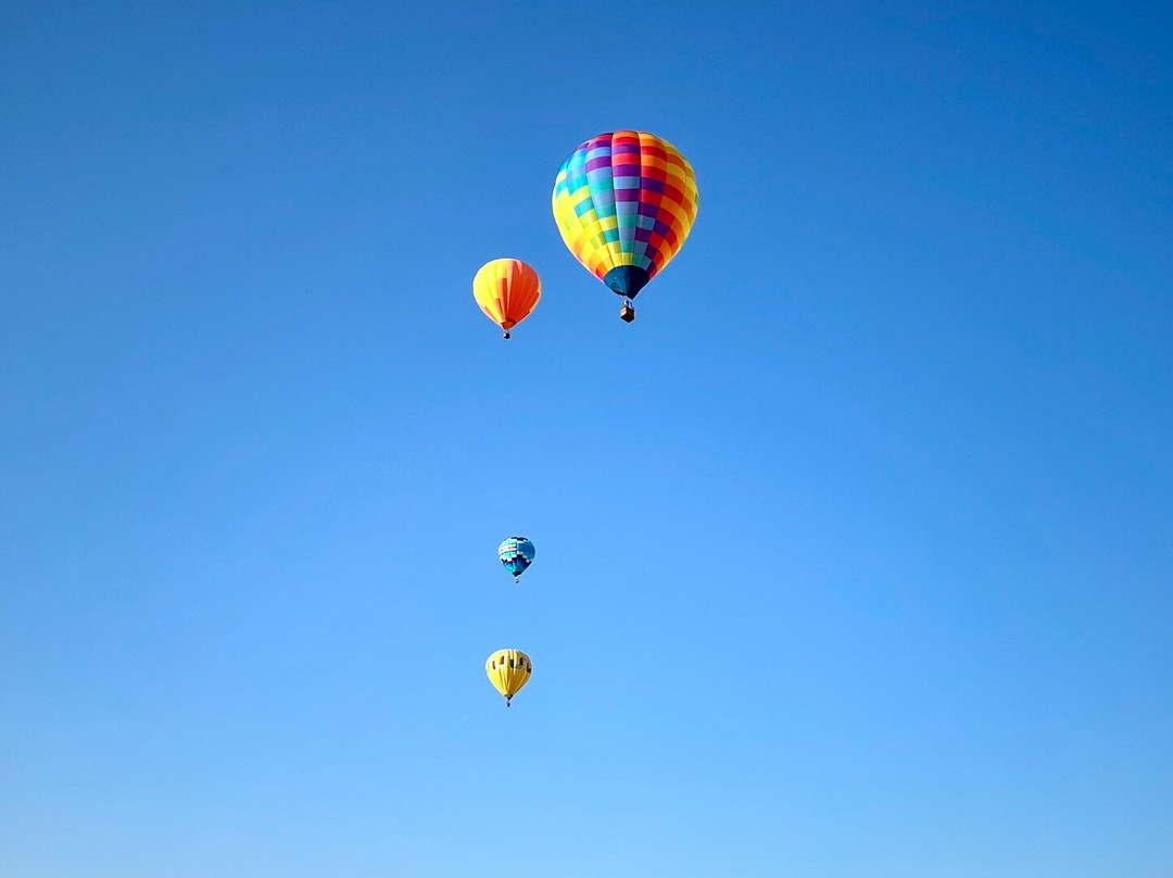 Aero-Cruise Balloon Adventures-Lafayette必去景点