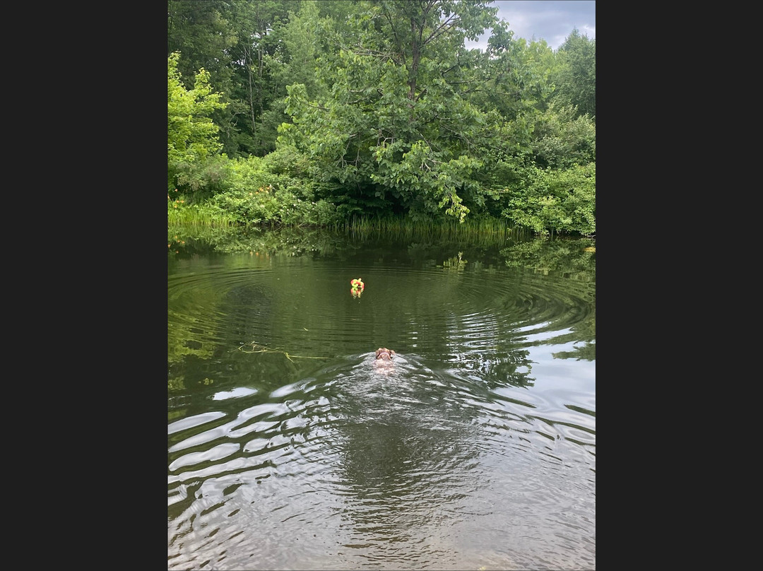 Berkshire Mountain House主图