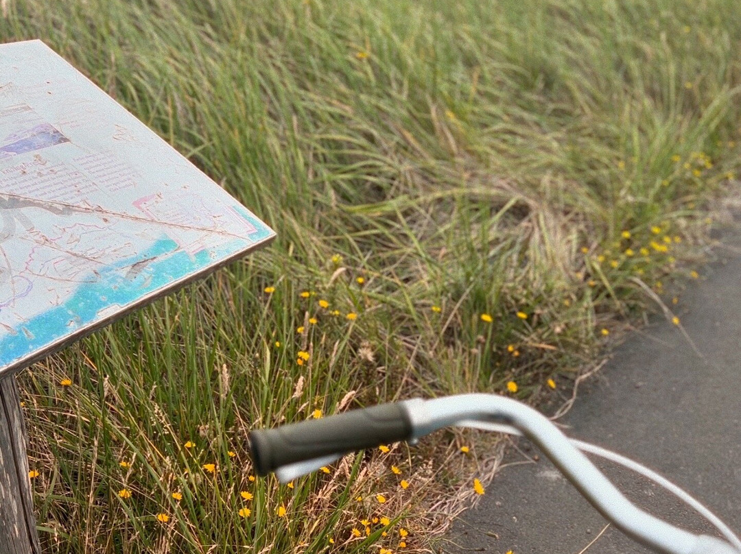 Discovery Trail-长滩必去景点