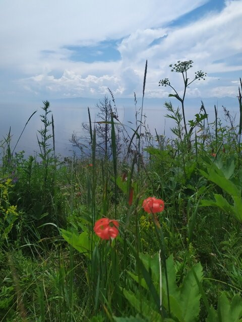 Dialan Baikal景点图片