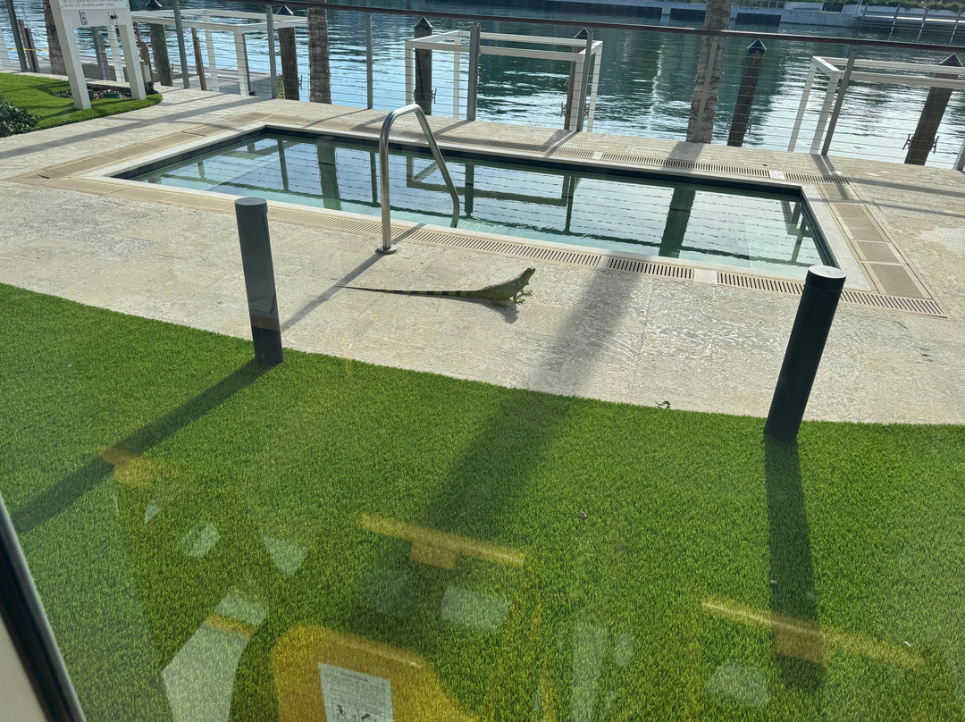 Grand Beach Hotel Bay Harbor主图