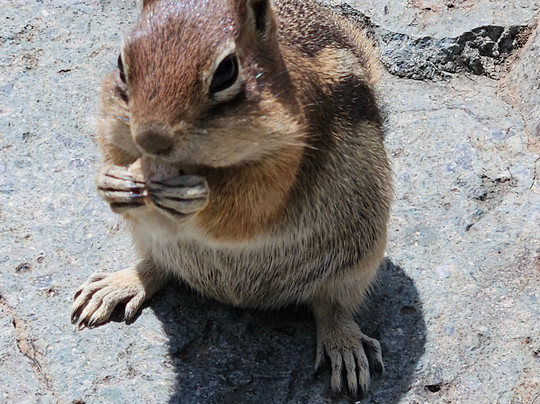 Pleasant View Resort主图