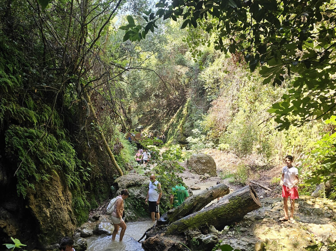 Travelicious Travel Agency景点图片