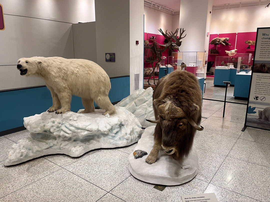 New Jersey State Museum景点图片