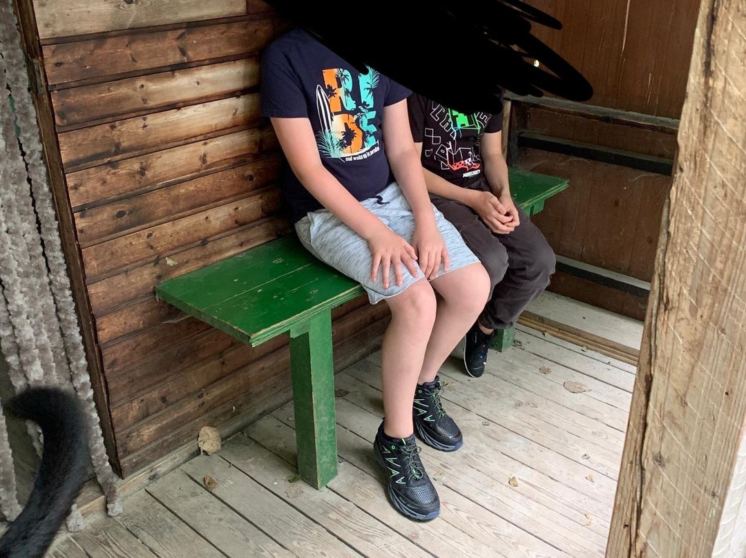 Birgits Tiergarten-Hage必去景点